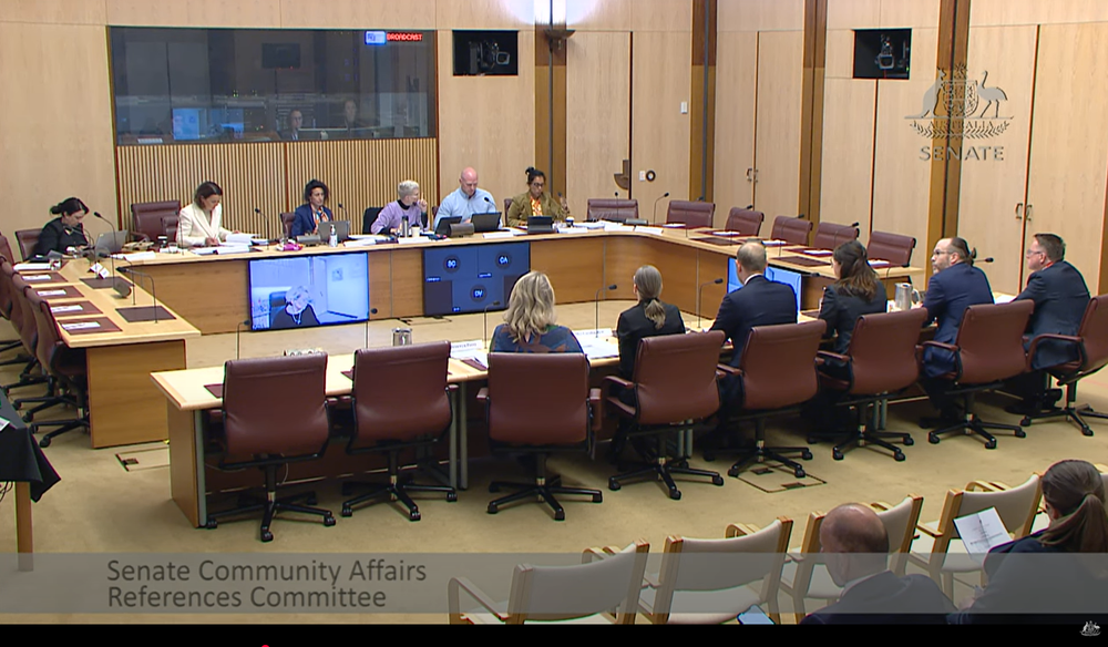 “Not a single additional Home Care Package has entered the system”: Senate Inquiry slams delays post image