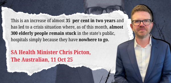 Our big idea: co-located retirement villages can solve hospital ‘bed occupancy’ in 16 weeks post image