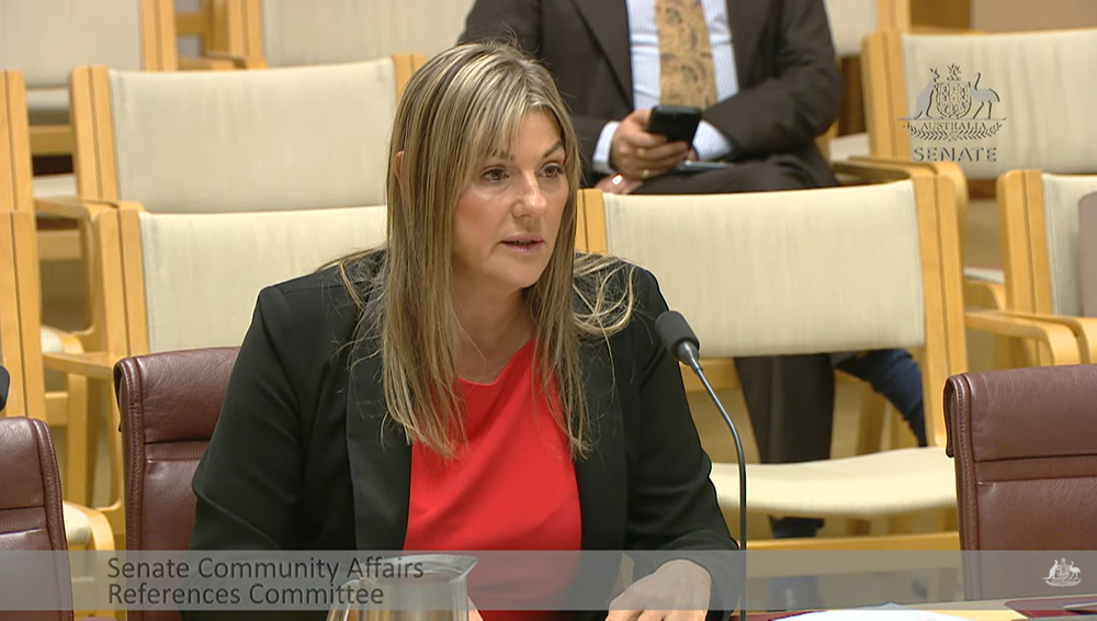 Inspector-General calls for fundamental Support at Home changes post image