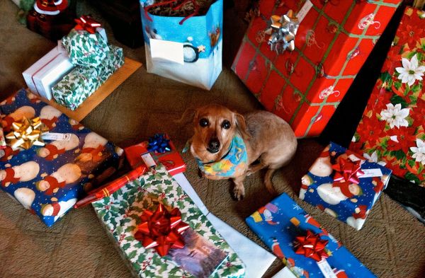 Redefining Gifting: Zero-Waste Ideas for the Eco-Conscious