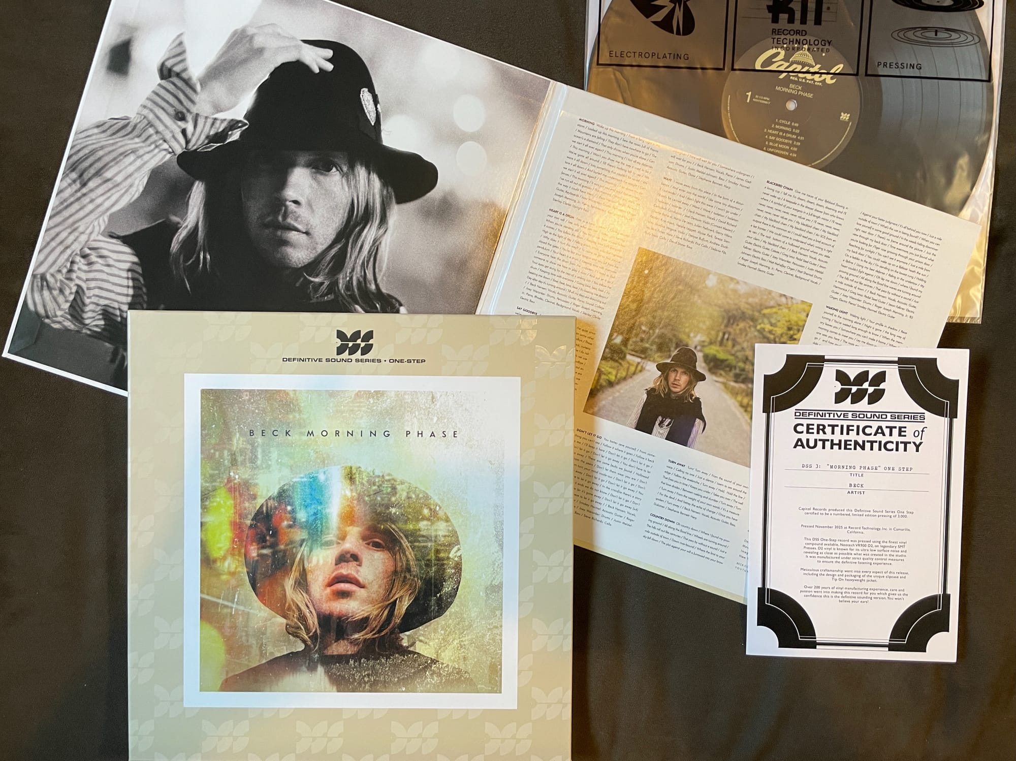 Contents of the Beck DSS one-step.