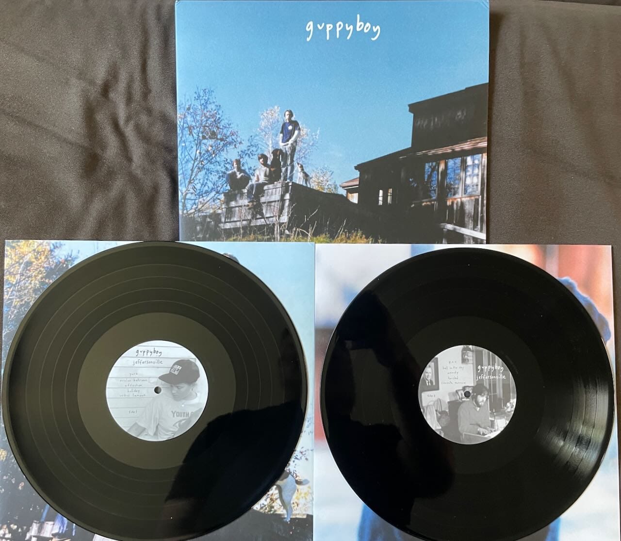 Cover art and discs for Guppyboy.