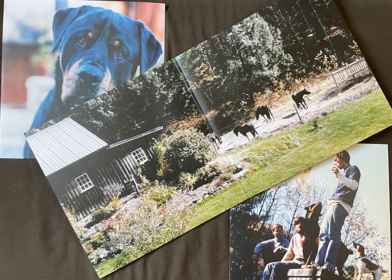 Inner gatefold and sleeves for Guppyboy.