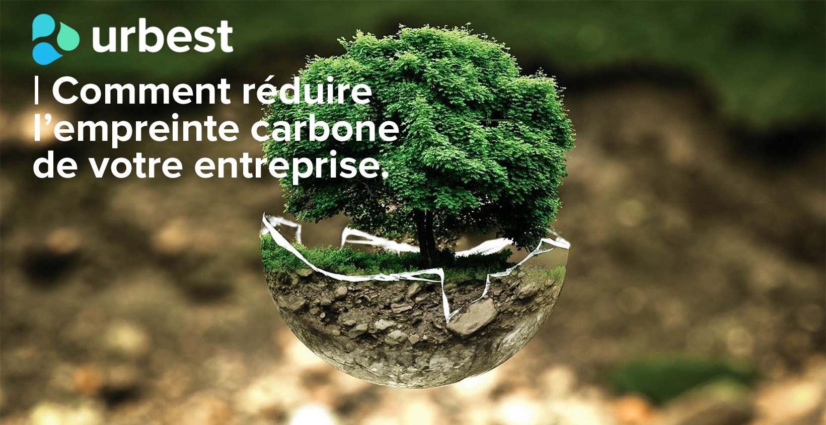 Comment réduire l’empreinte carbone de votre entreprise.