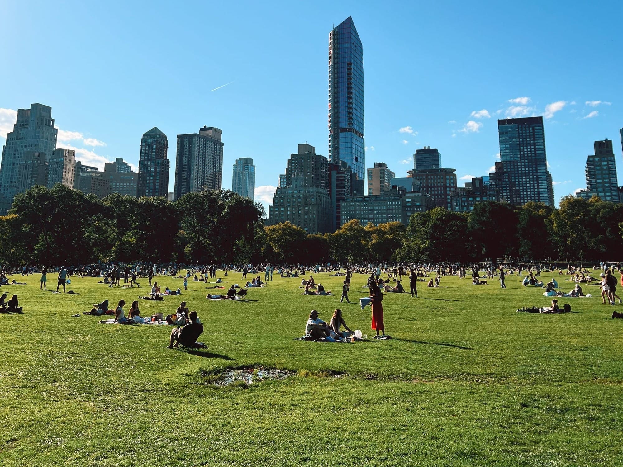 Groups and families having picnics in New York City's Central Park
