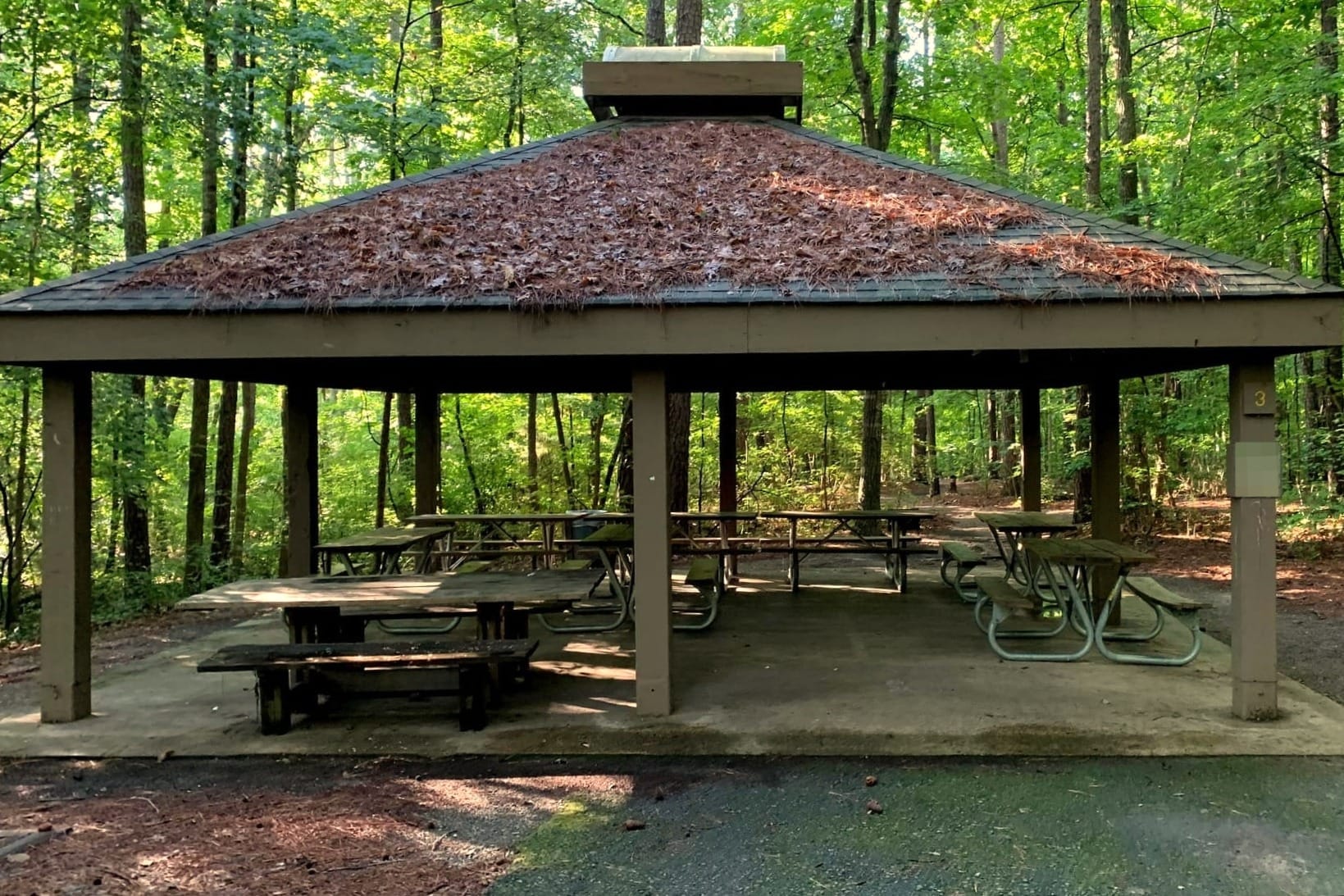 A shaded picnic pavilion in a wooded state park, an example of a kid-friendly rest stop along a road trip route