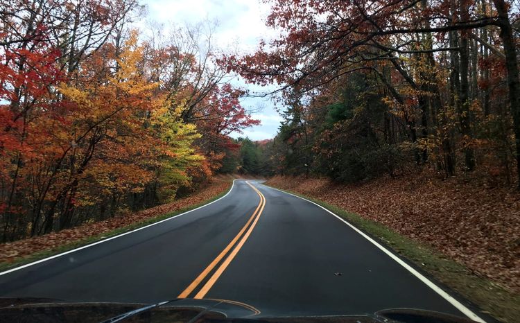 View from a car windshield of a winding two-lane road lined with red, orange, and yellow fall foliage