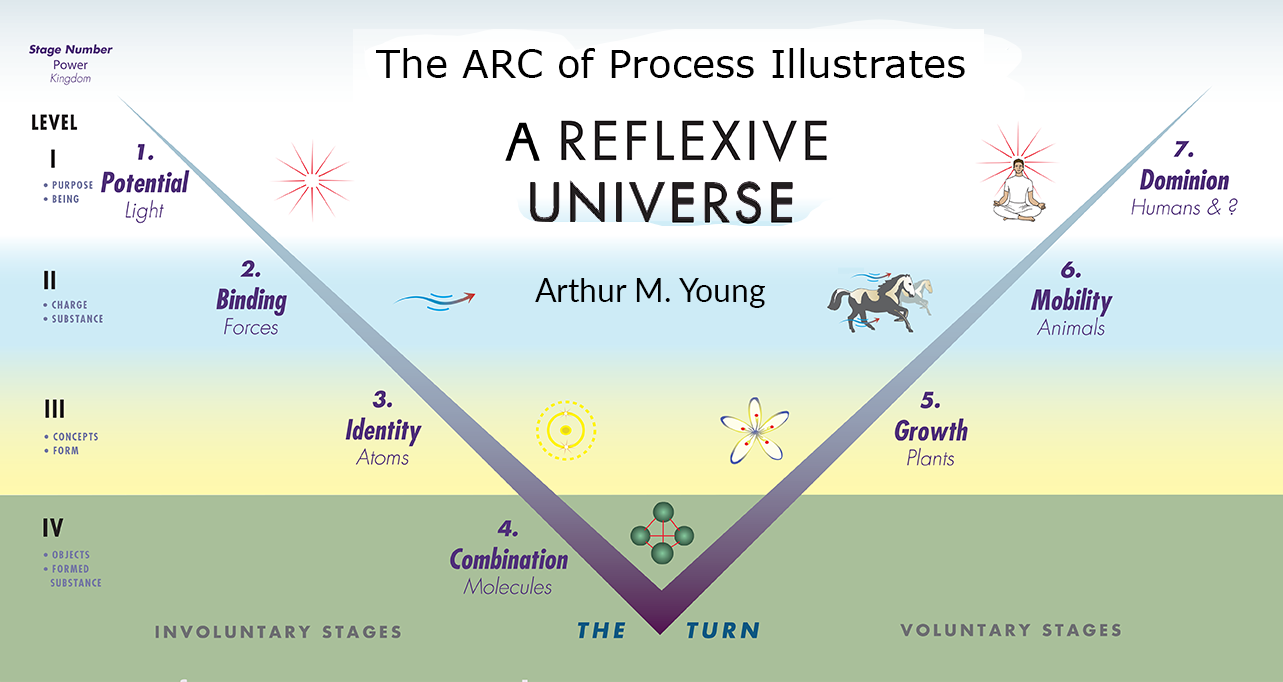 5. The Arc of Process: Finding Freedom Through Constraint