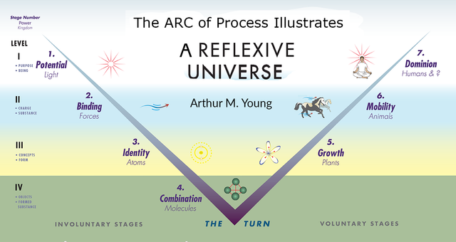 V. The Arc of Process: Finding Freedom Through Constaint