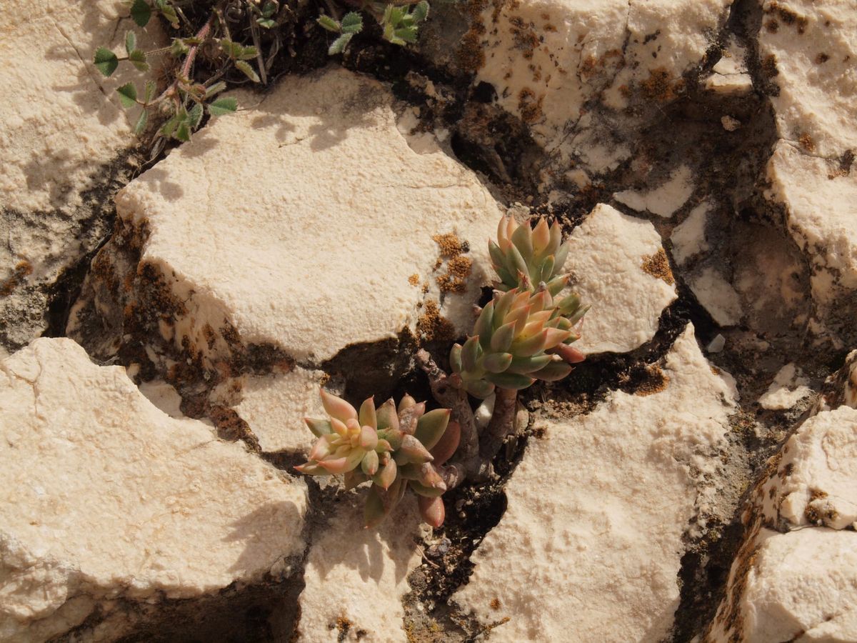 I Finally Learned What an F-stop Is