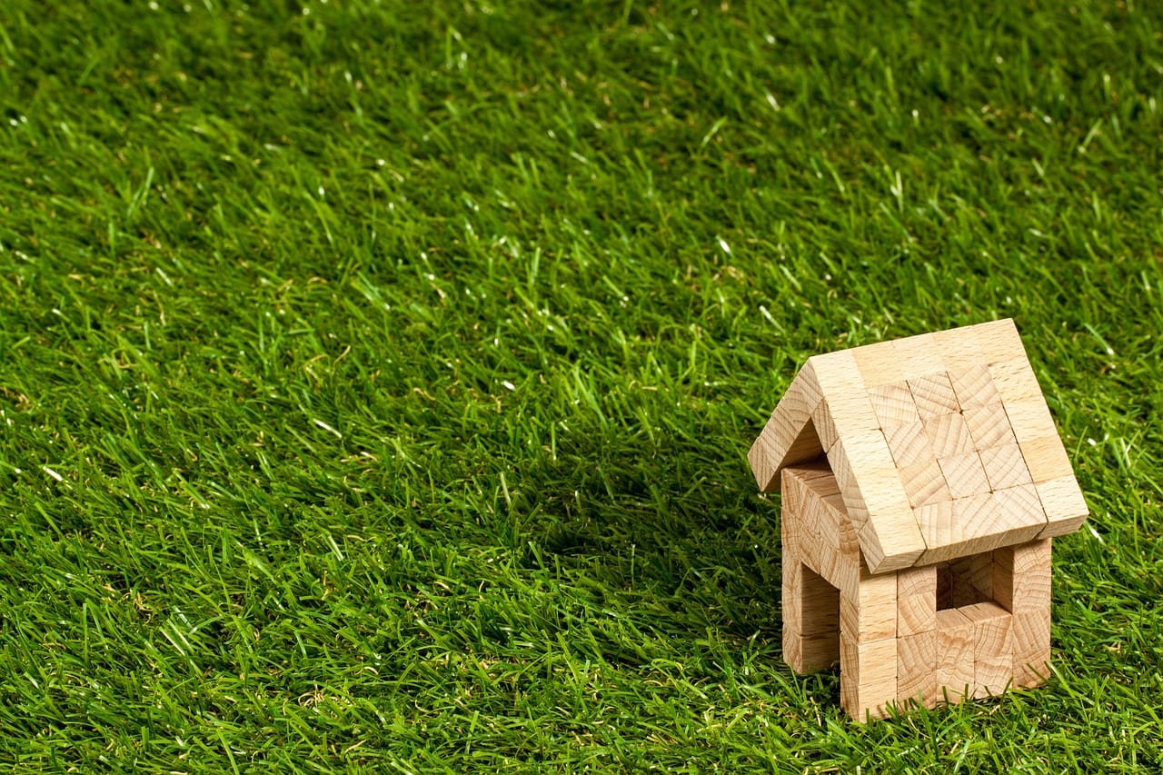 What are the types of property surveys?