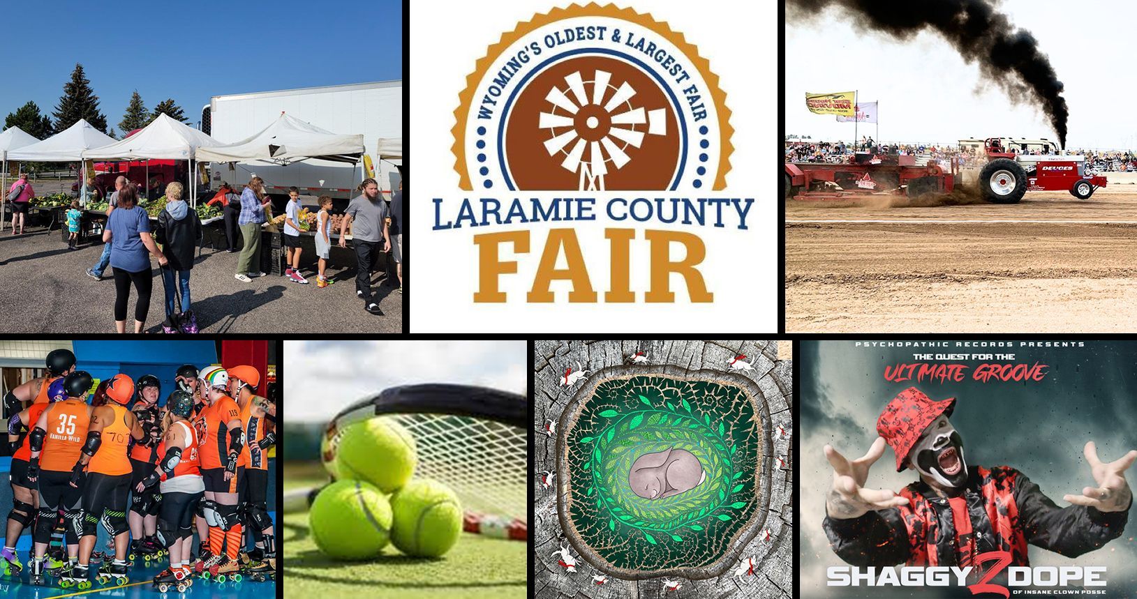 Take A Look At All Of The Fun Things Happening This Weekend!