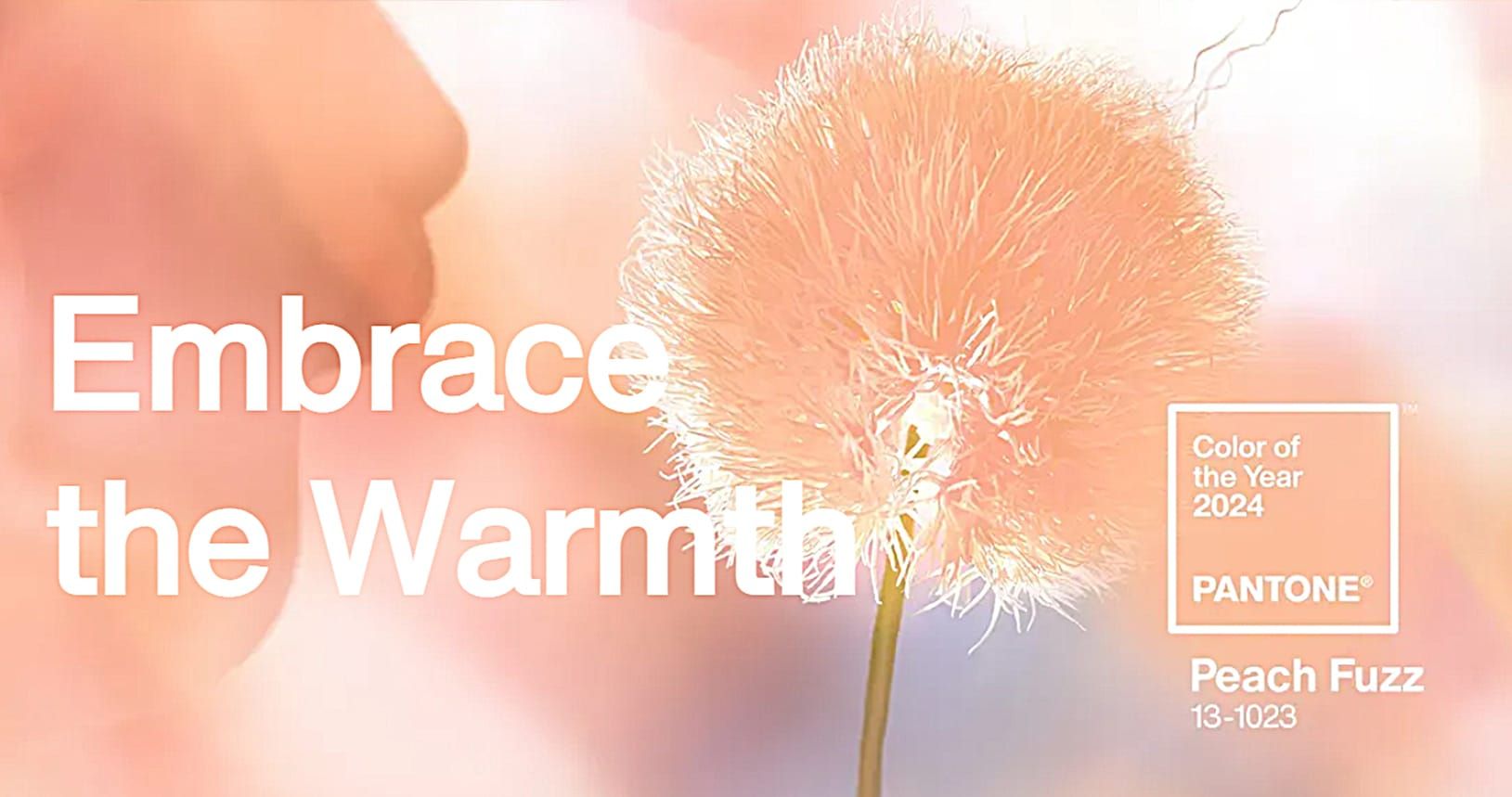 Pantone's Color of the Year 2024 - Peach Fuzz!