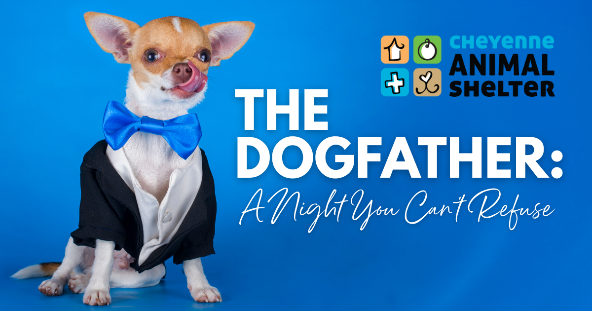 The Dogfather: A Night You Can't Refuse
