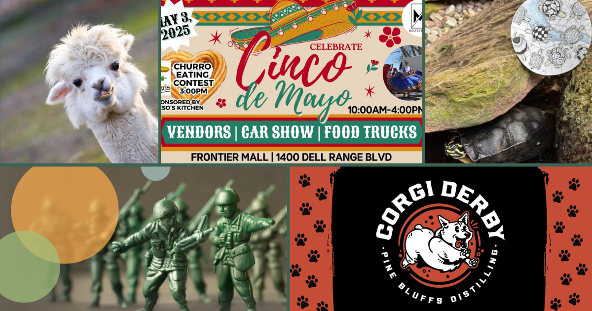 Horses, Hats & Hugs from Alpacas: What to Do This Weekend in Cheyenne