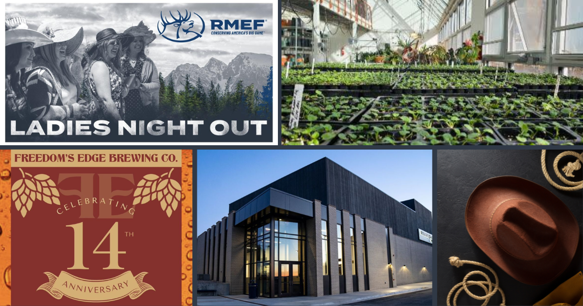 Lights, Lariats, and Local Talent this Weekend in Cheyenne