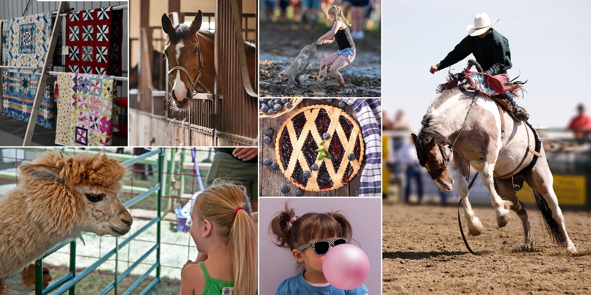 Fun for the Whole Family: The Laramie County Fair