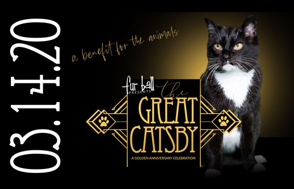 Fur Ball Presents "The Great Catsby" This Saturday