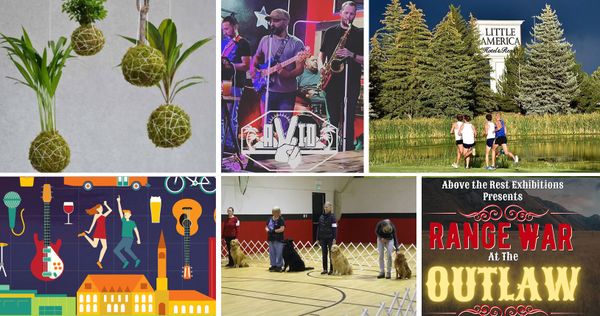 Looking For Something Fun To Do This Weekend?