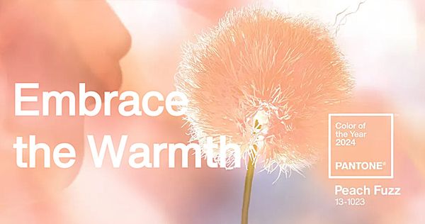 Pantone's Color of the Year 2024 - Peach Fuzz!