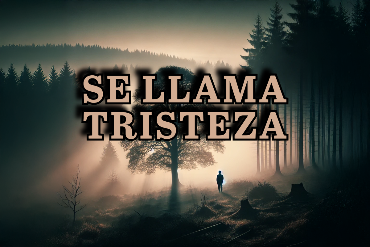 Se llama tristeza