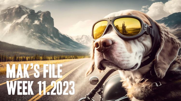 prompt: dog as motorbike driver witch sunglasses on the road in the backgrount rocky mountains --ar 2:1