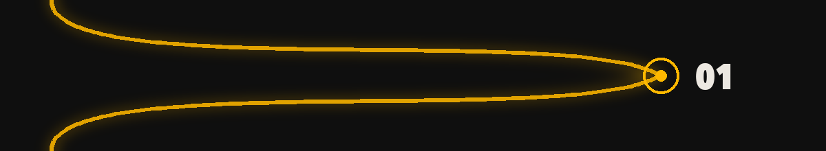 Section 01