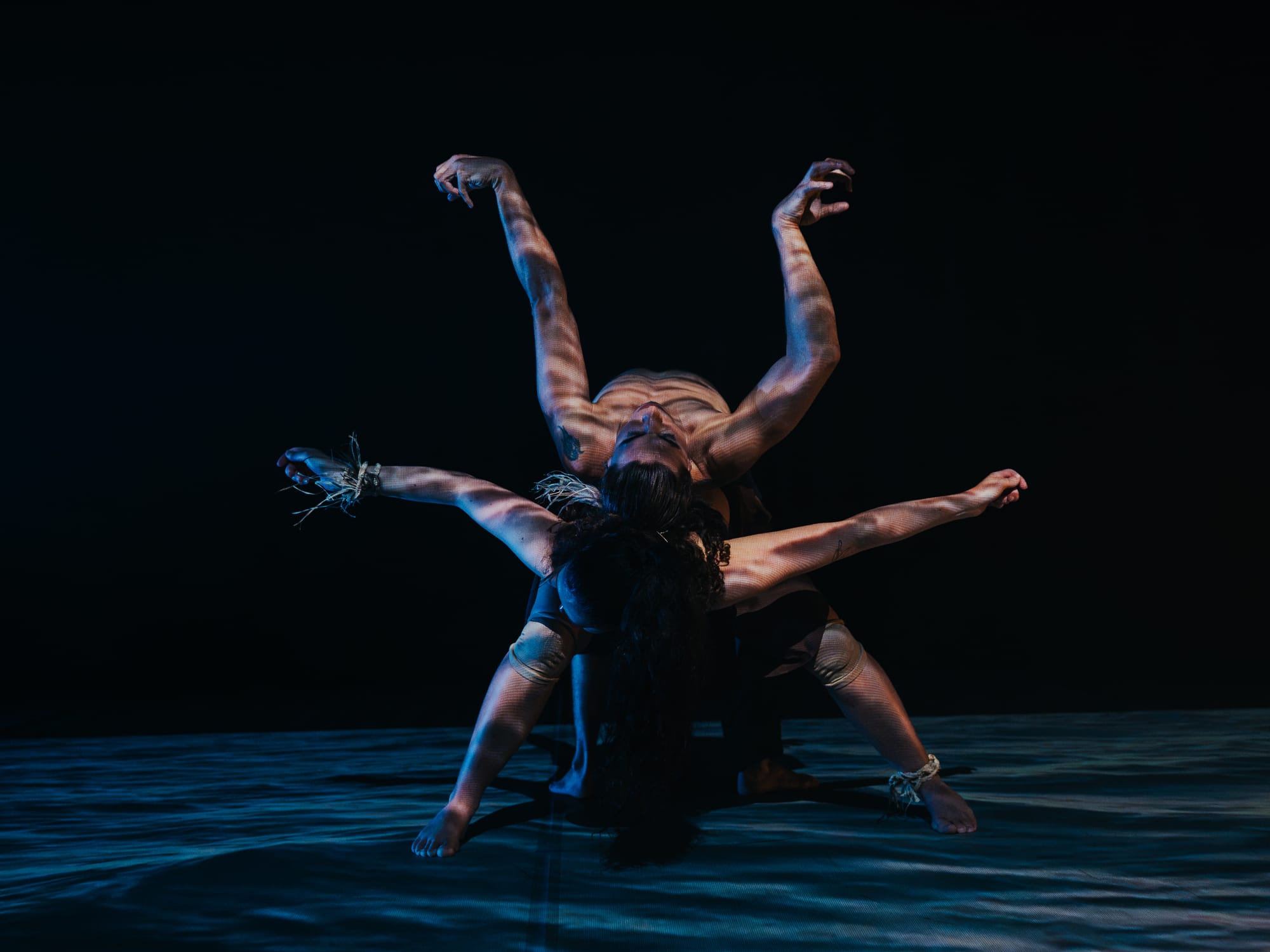 Two dancers beneath blue stage light, their four arms reaching in different directions to create a striking, many-limbed silhouette.