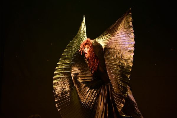 The audience takes the hill: An Evening Without Kate Bush