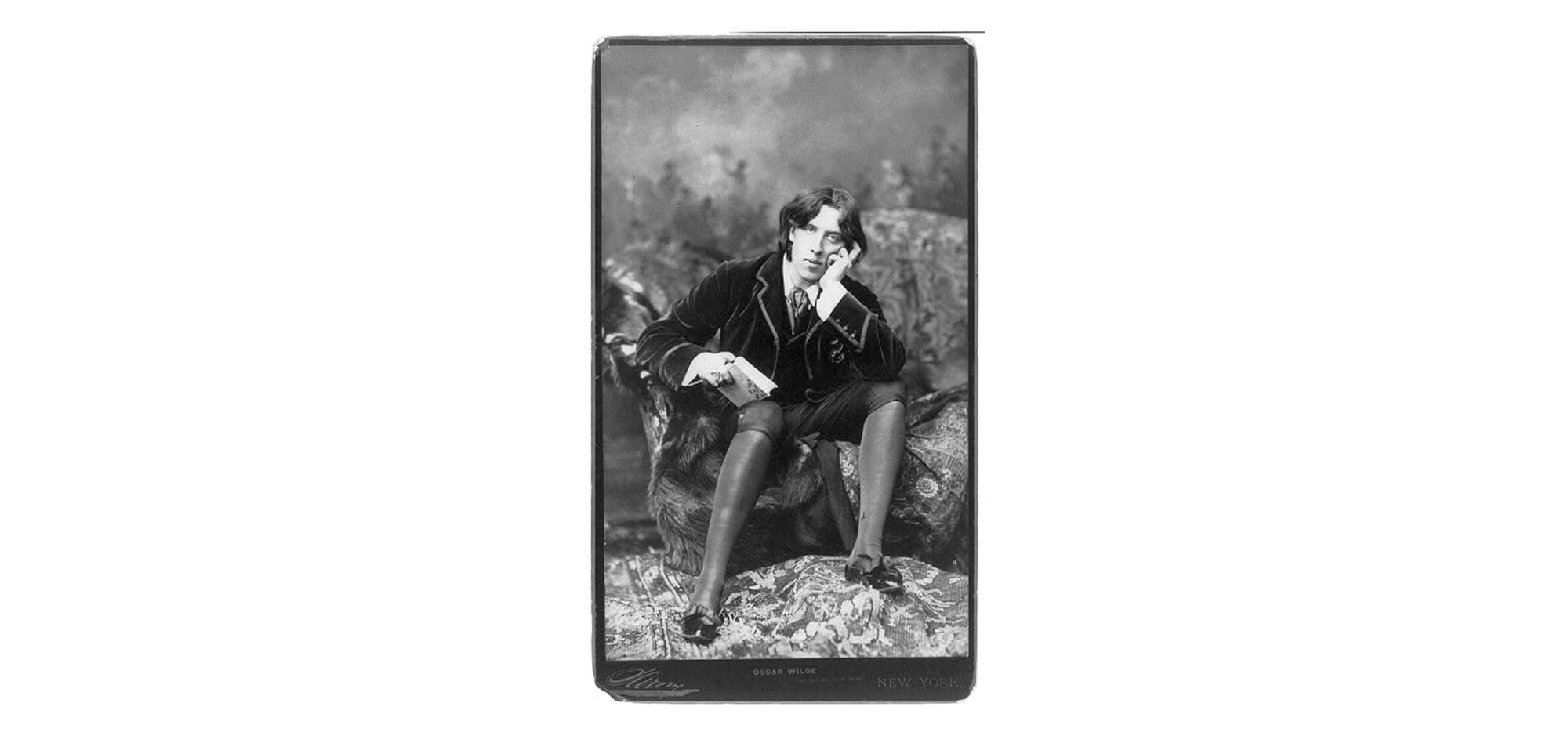 Wilde, No. 18, by Napoleon Sarony (1882)