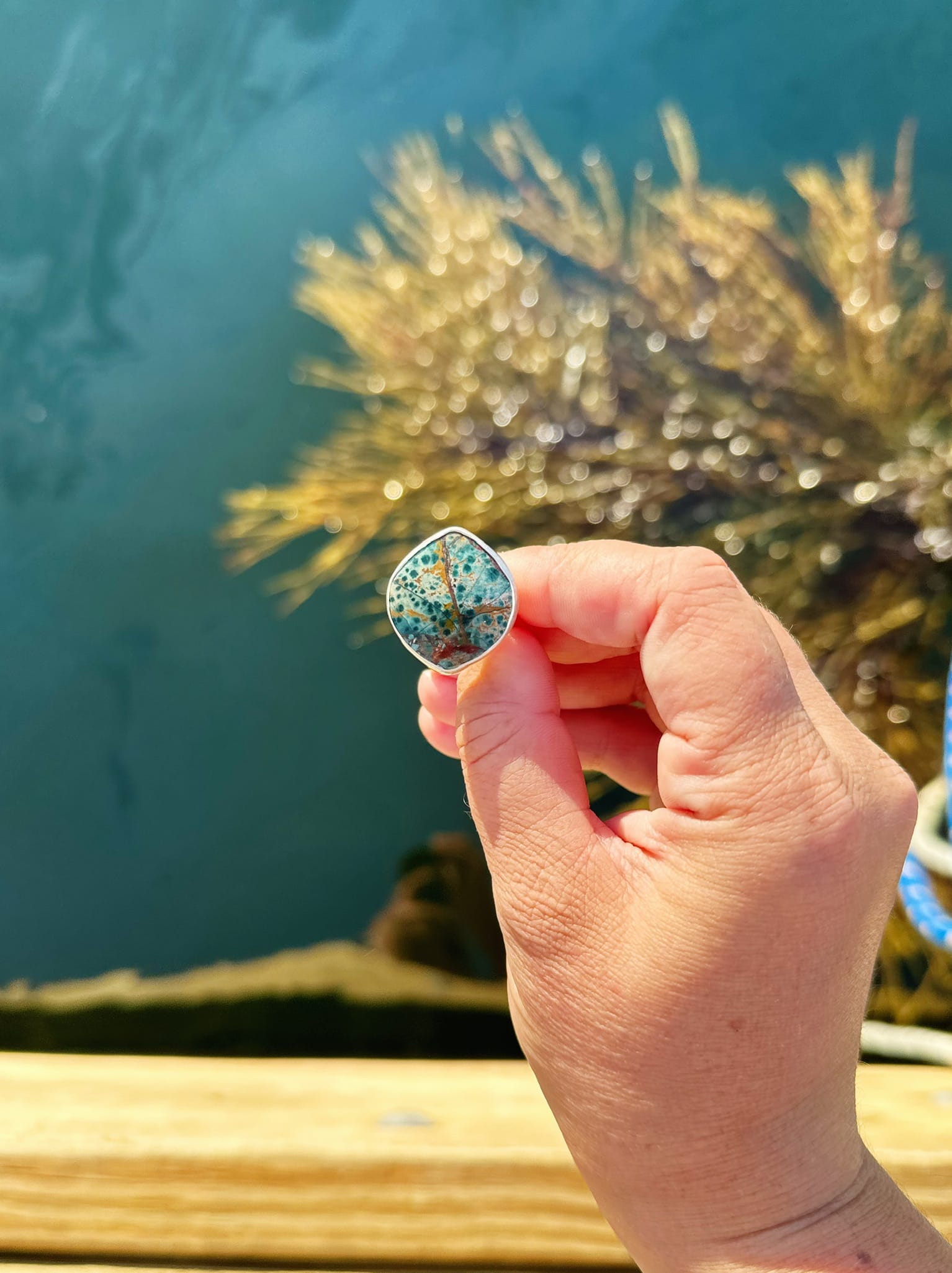 A hand holding a small, round, colorful shell ring, displaying speckled patterns. Background shows clear blue water and blurred marine plants.