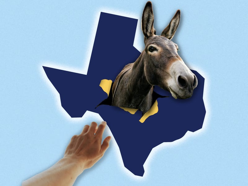Flesh-Eating Worms, Hemp Chaos, and a Blue Texas?