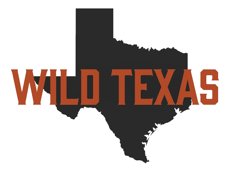 Wild Texas