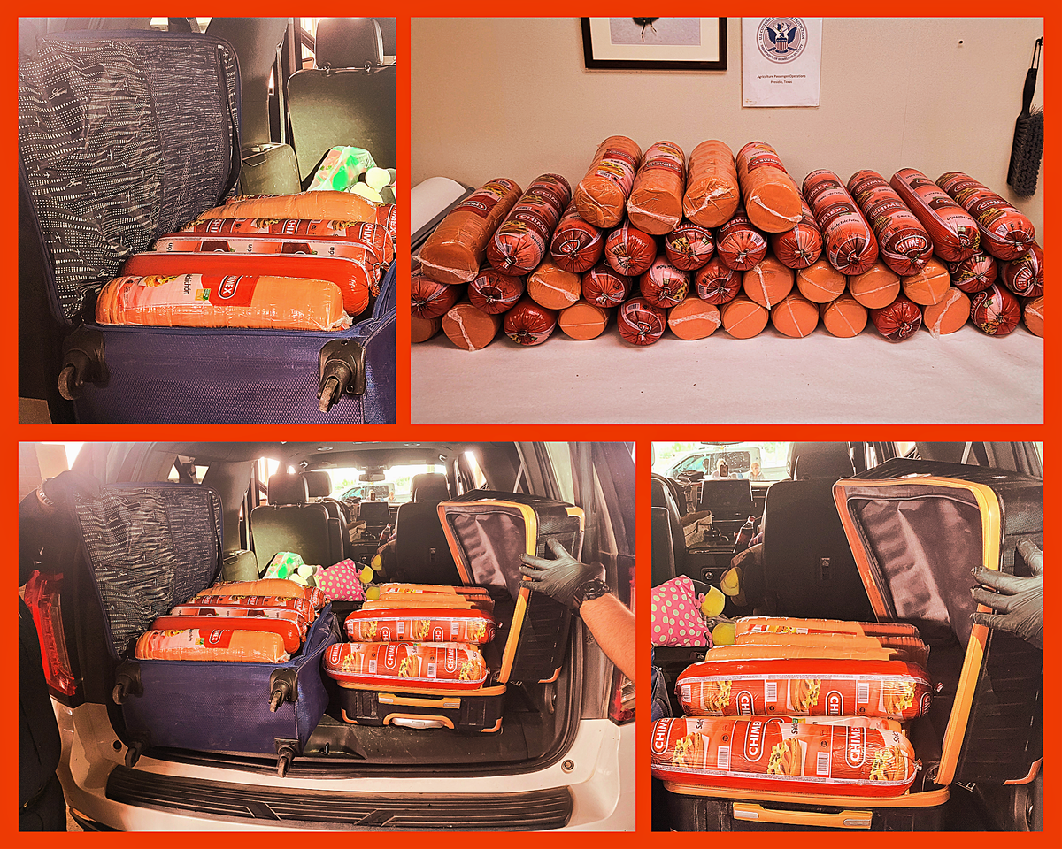 Border Patrol Full of Bologna (Literally) After Seizing 748 Pounds of Forbidden Sausage