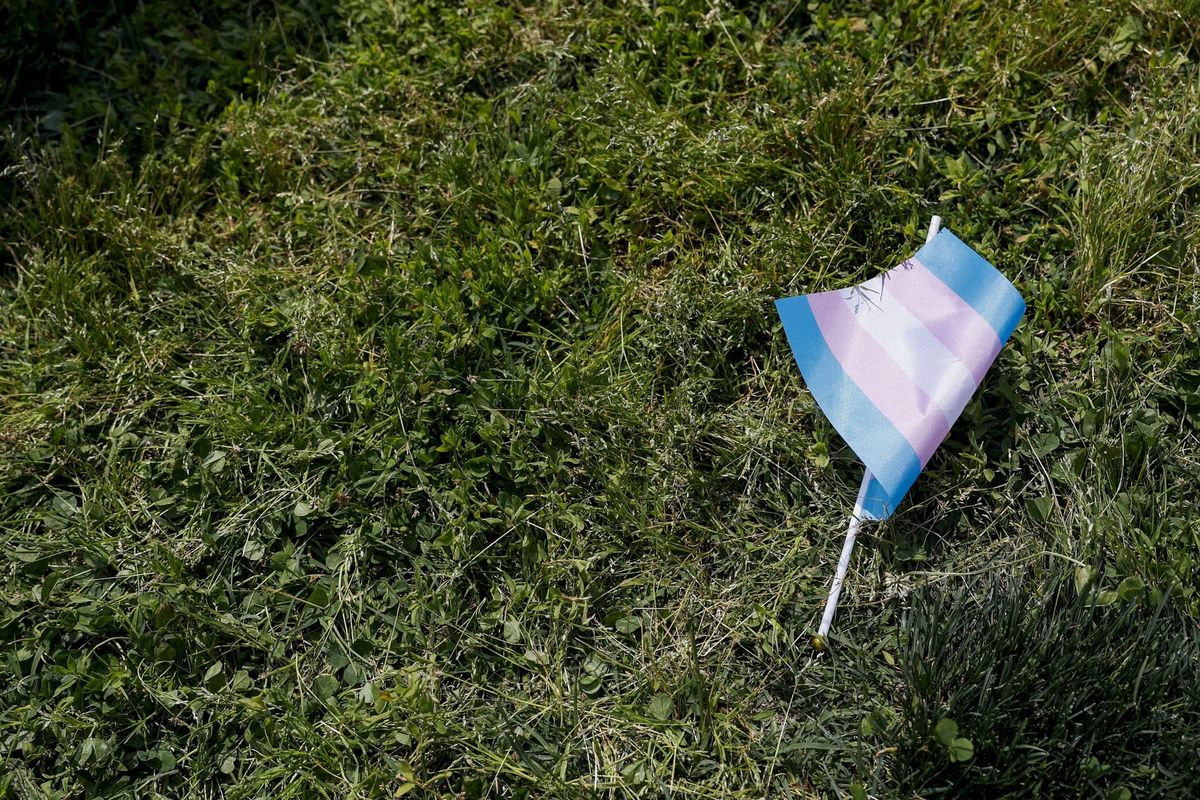 A trans flag lying in the grass.