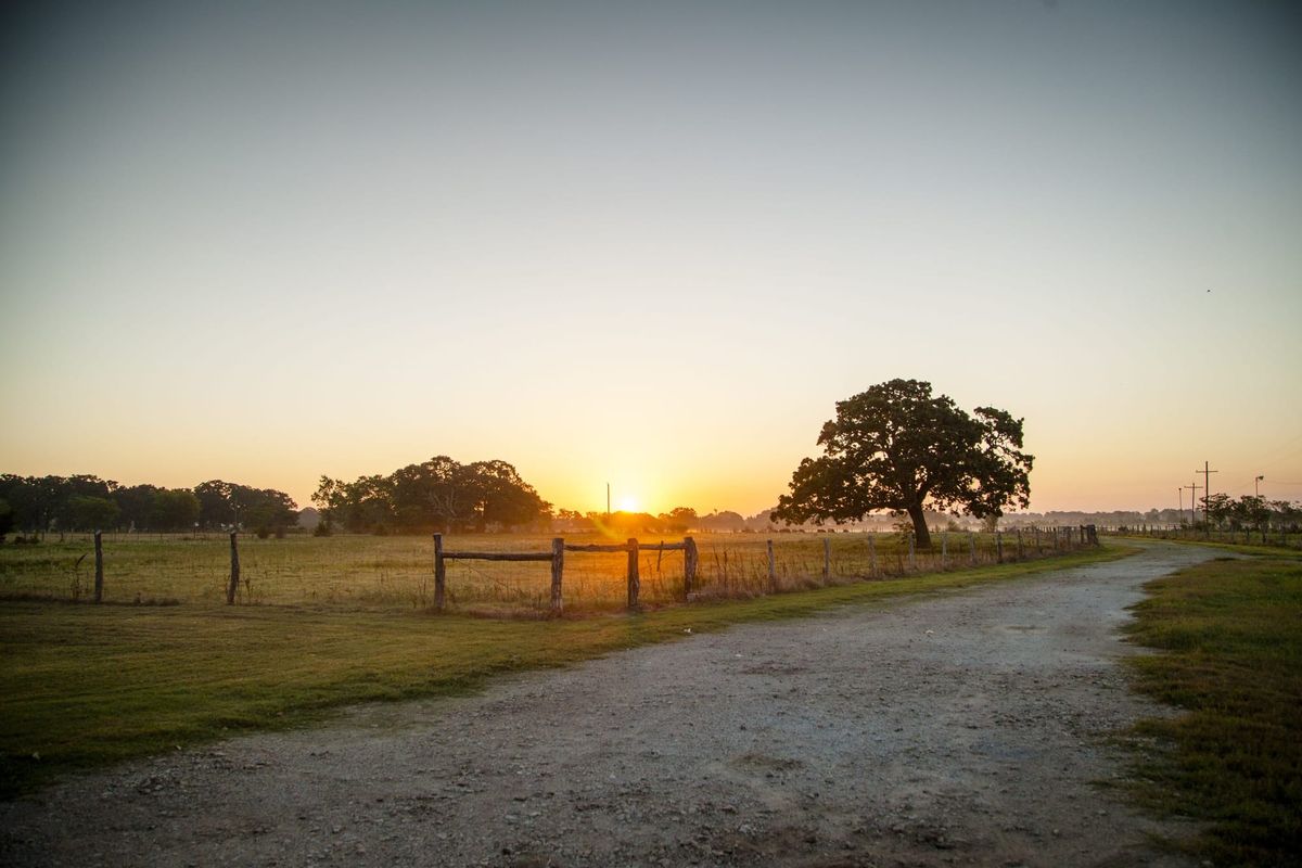 Sunrise on a farm in Texas, dirt road and tree