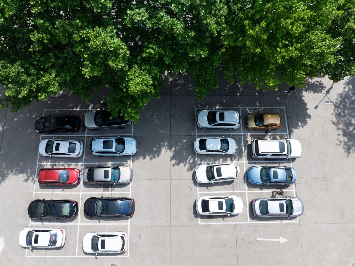 Back-In Parkers: Society’s True Menace