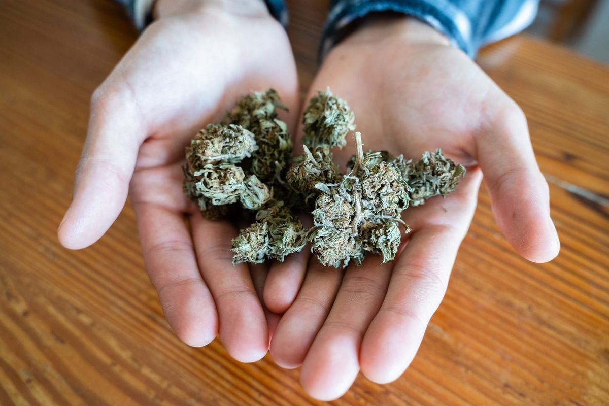 ‘I Hate This.’ Texas Cracks Down on THC, Maddening Us All.