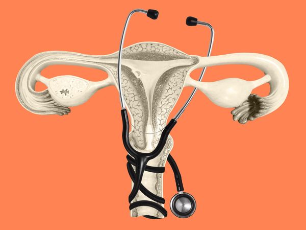 After My Abortion, My Next OB-GYN Called Pregnant Women ‘Host Organisms’