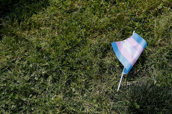 A trans flag lying in the grass.