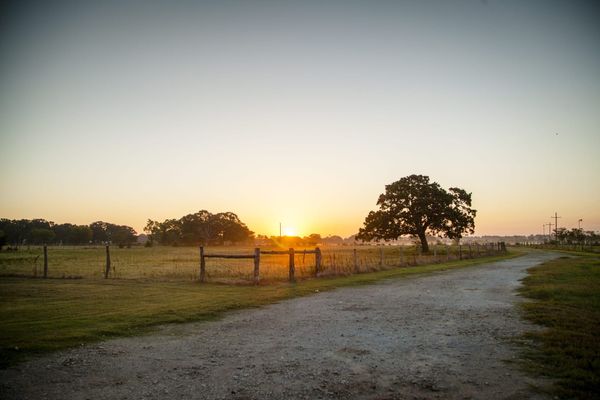Sunrise on a farm in Texas, dirt road and tree