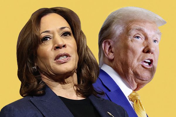 Kamala Harris and Donald Trump in front of a yellow background