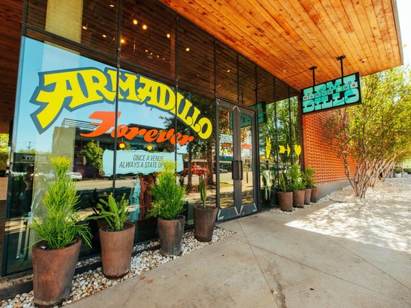 the outside of the armadillo pop-up