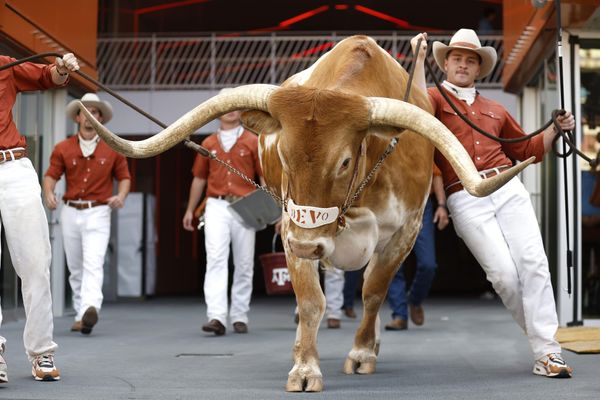 SEC Grinches Say Bevo Must Stay Home