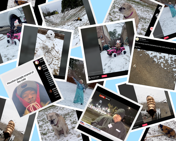 Just Some Adorable Texas Snowpocalypse 2025 Content, Including Pets & Babies