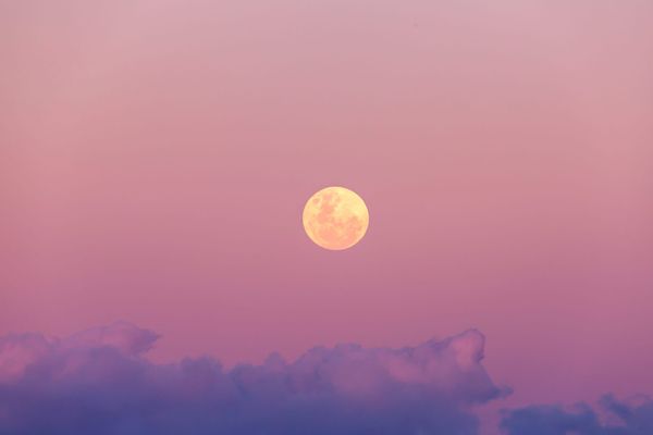 The Pink Moon is Coming, and It’s Totally Average in Every Way (But We’re Still Going to Make a Deal Out of It)