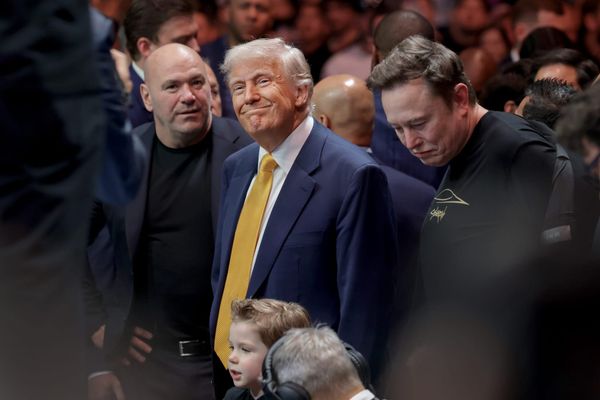 Did Trump call Elon Musk Fat? Musk’s Own Chatbot Says Yes