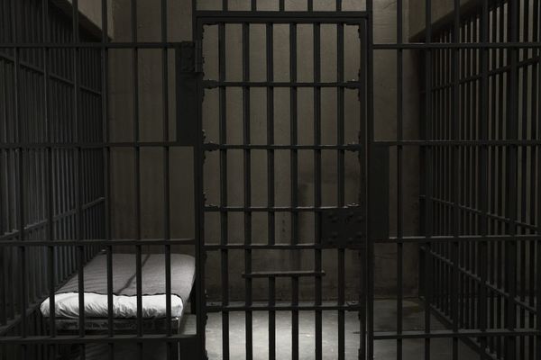 After a Prison Cat Fundraiser Went Viral, Texas Officials Put His Caretaker in Solitary Confinement