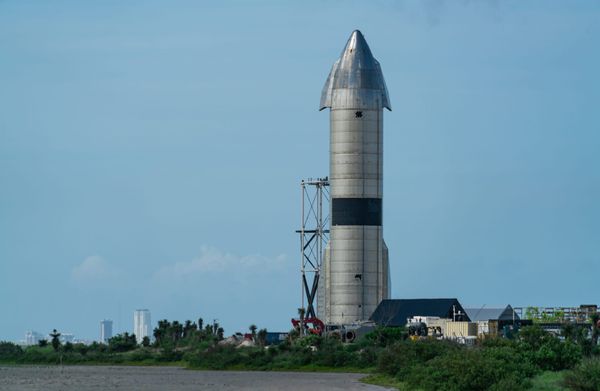 Elon Musk Wants to Turn 700 Acres of Texas Wildlife Refuge Into SpaceX Property