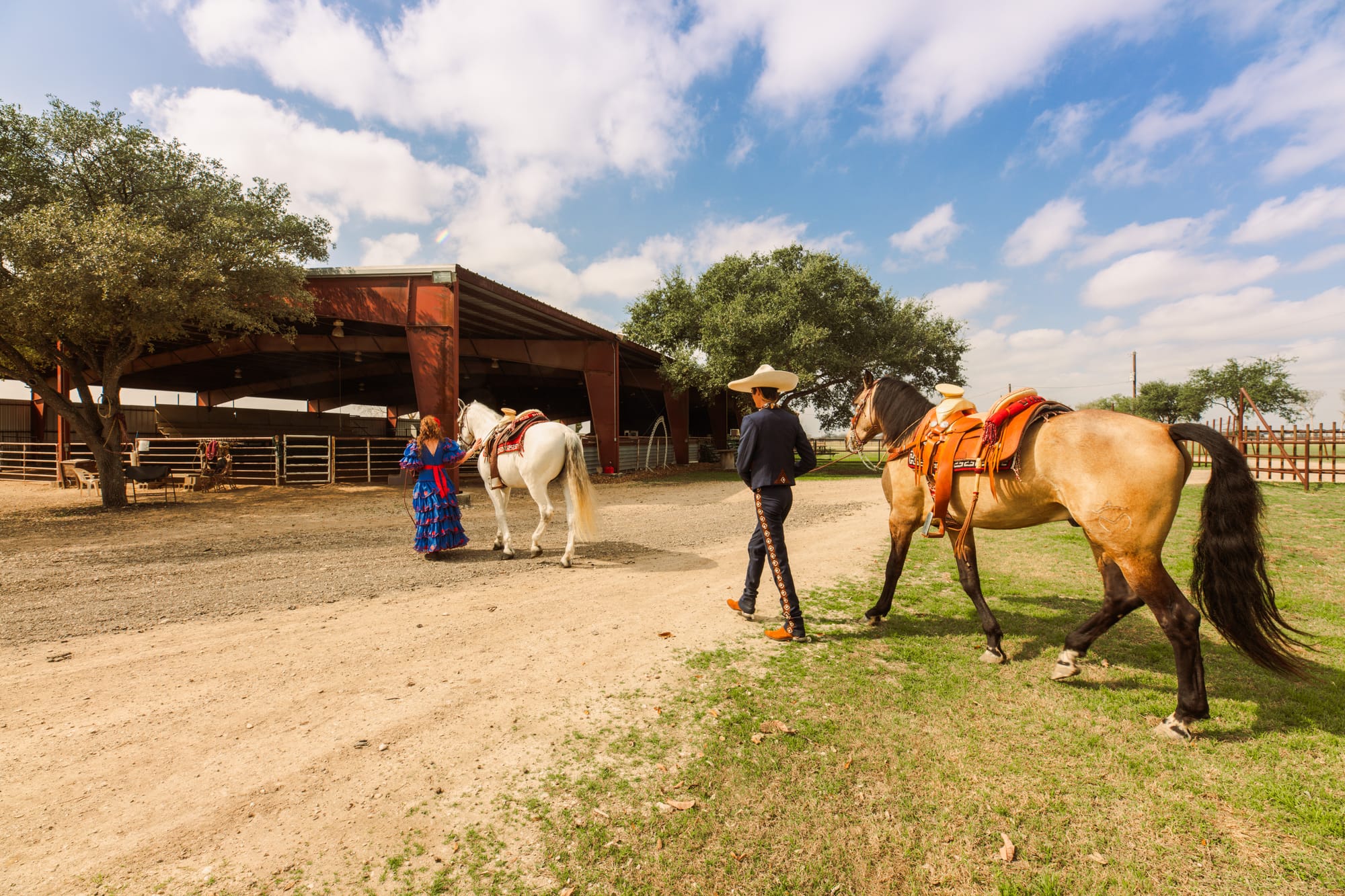 Jerry leading his horse